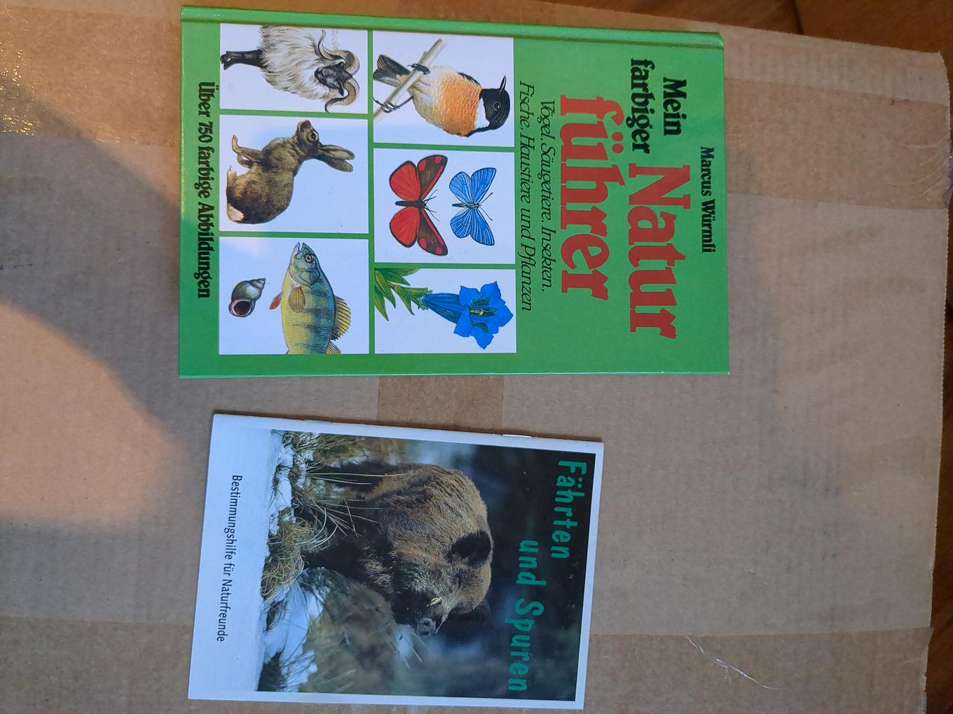 Collagebild 1