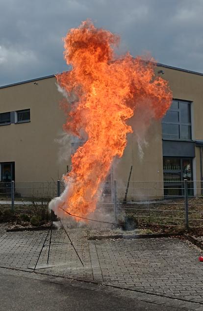 Bild im Zusammenhang mit dem Beitrag