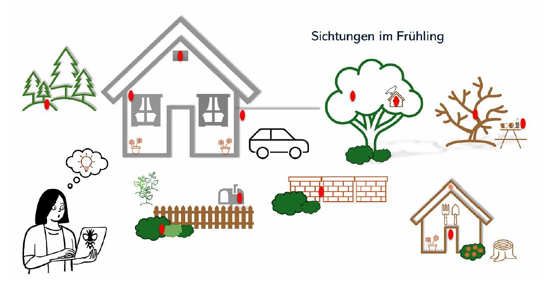 Bild im Zusammenhang mit dem Beitrag