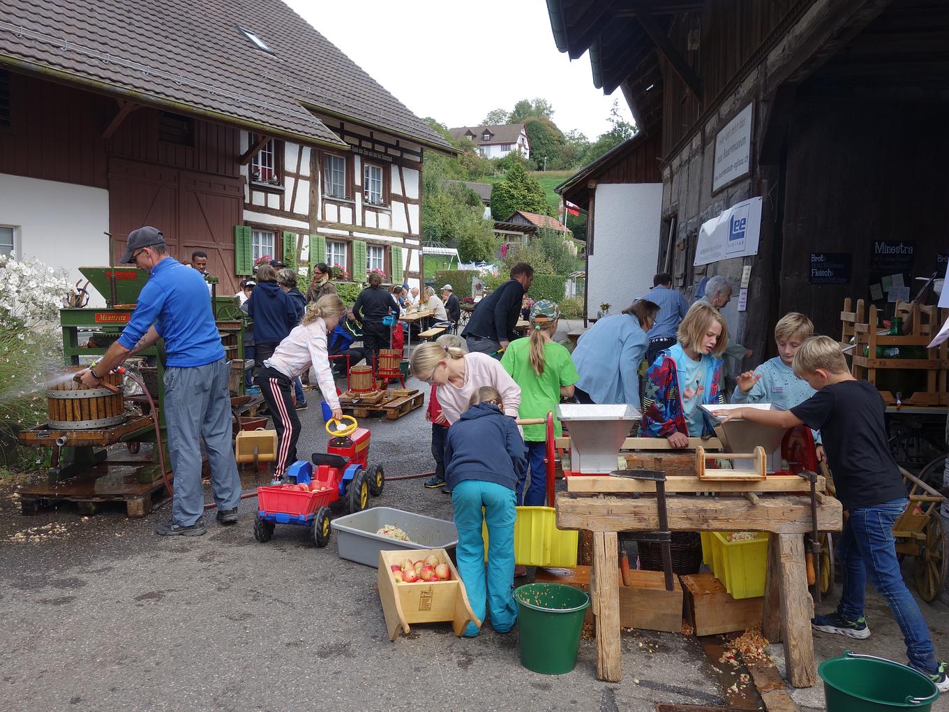 Collagebild 1