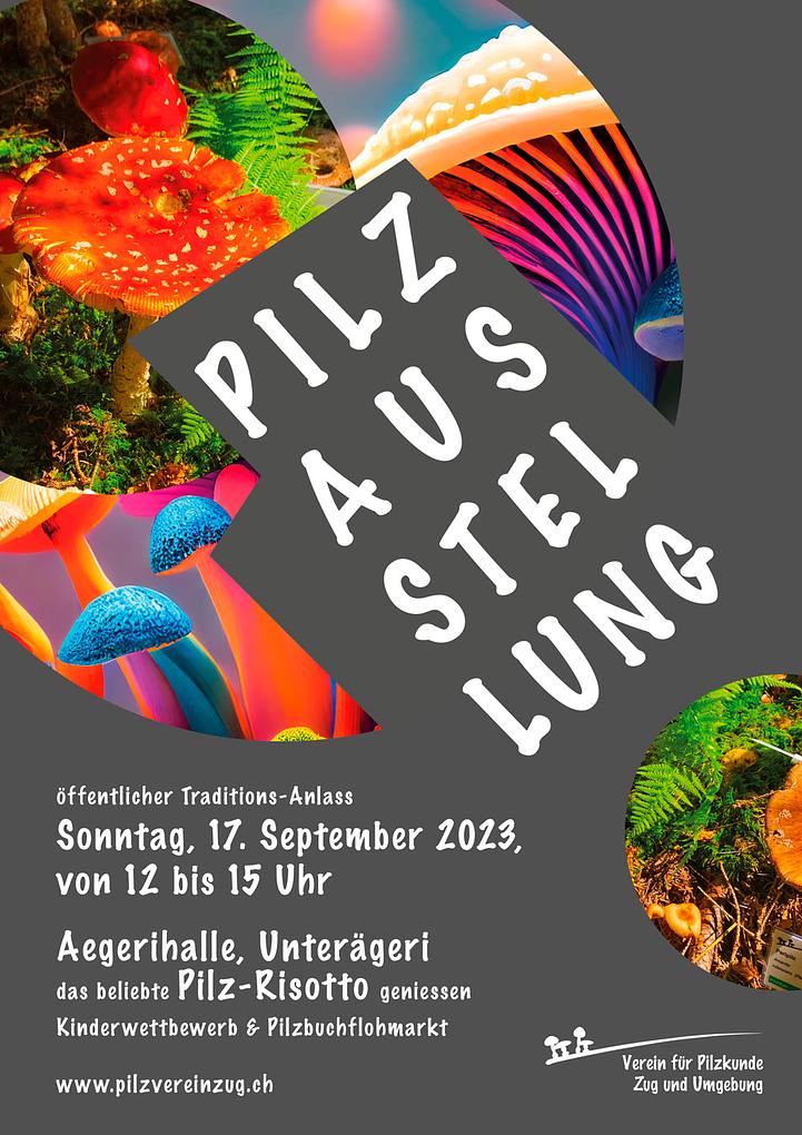 Collagebild 1