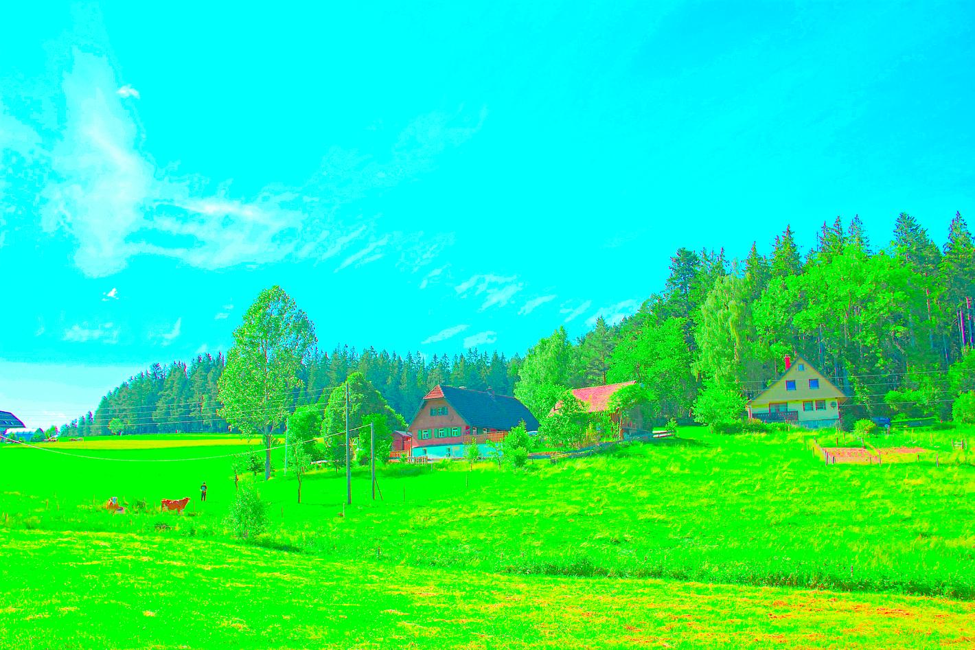 Collagebild 1