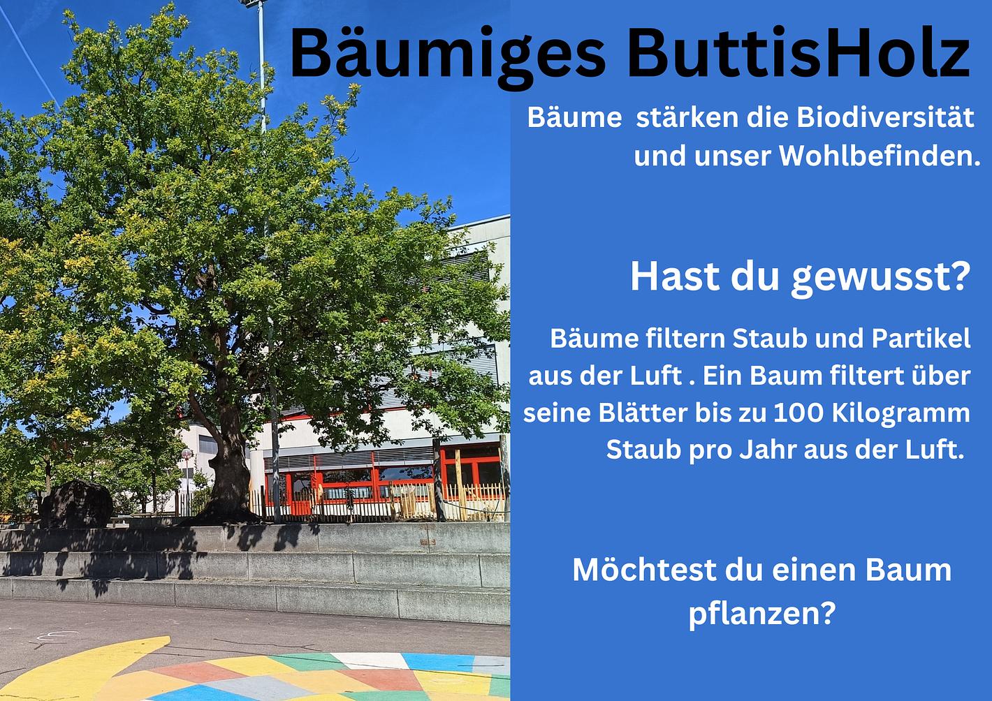 Bild im Zusammenhang mit dem Beitrag