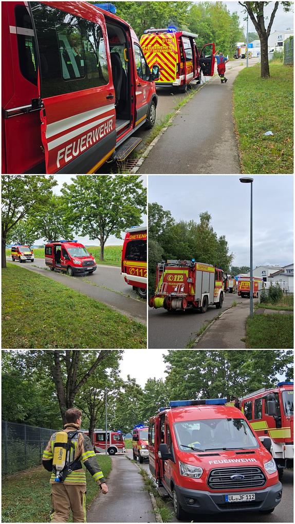 Collagebild 1