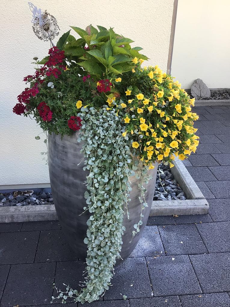 Bild im Zusammenhang mit dem Beitrag