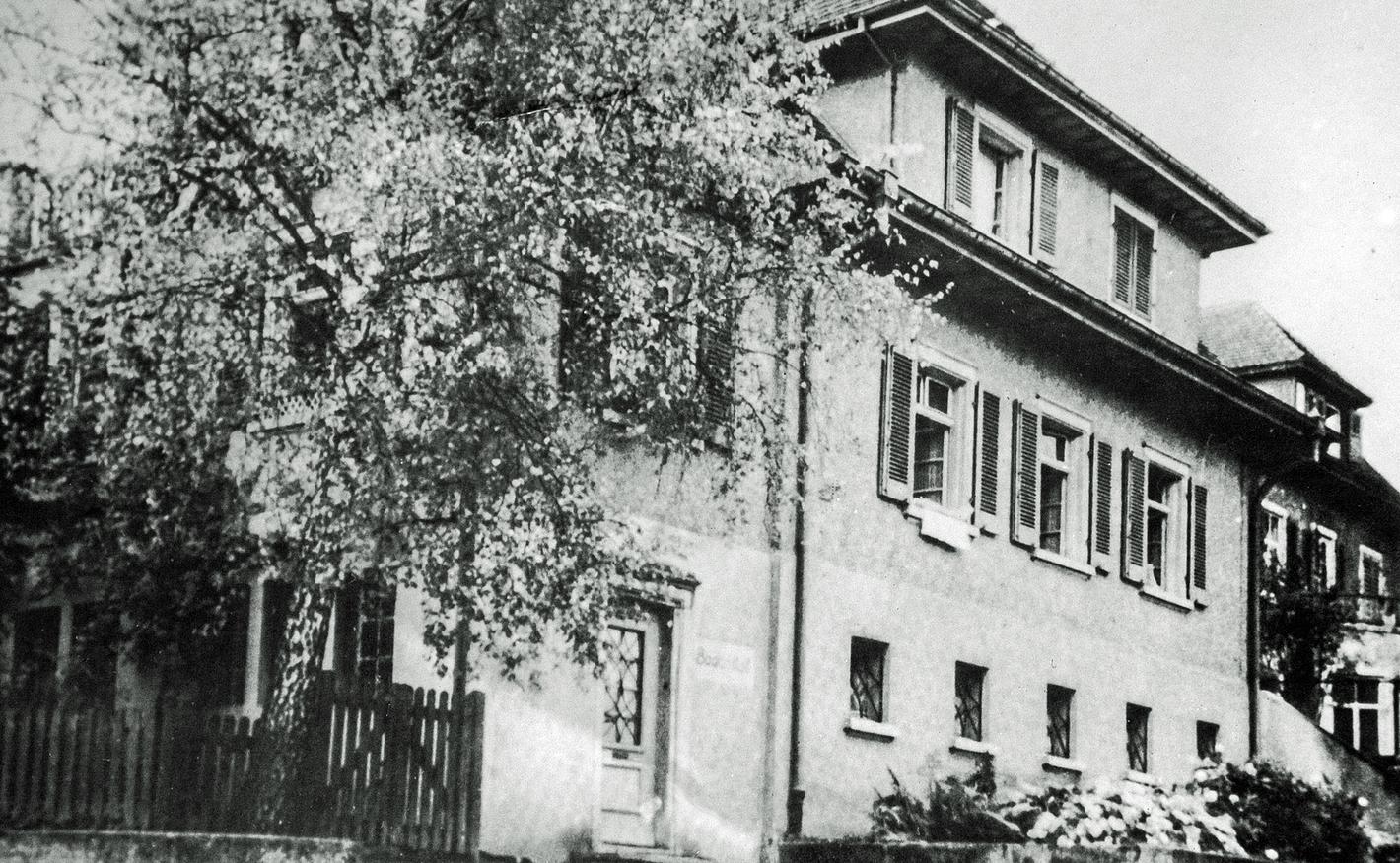 Bild im Zusammenhang mit dem Beitrag