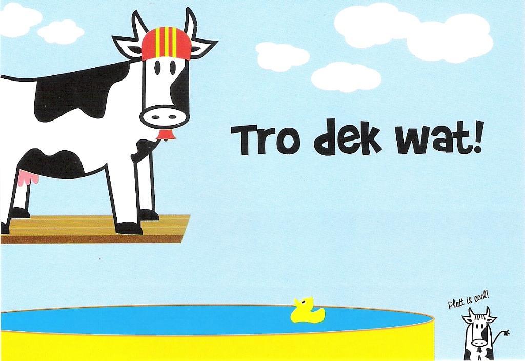 Bild im Zusammenhang mit dem Beitrag