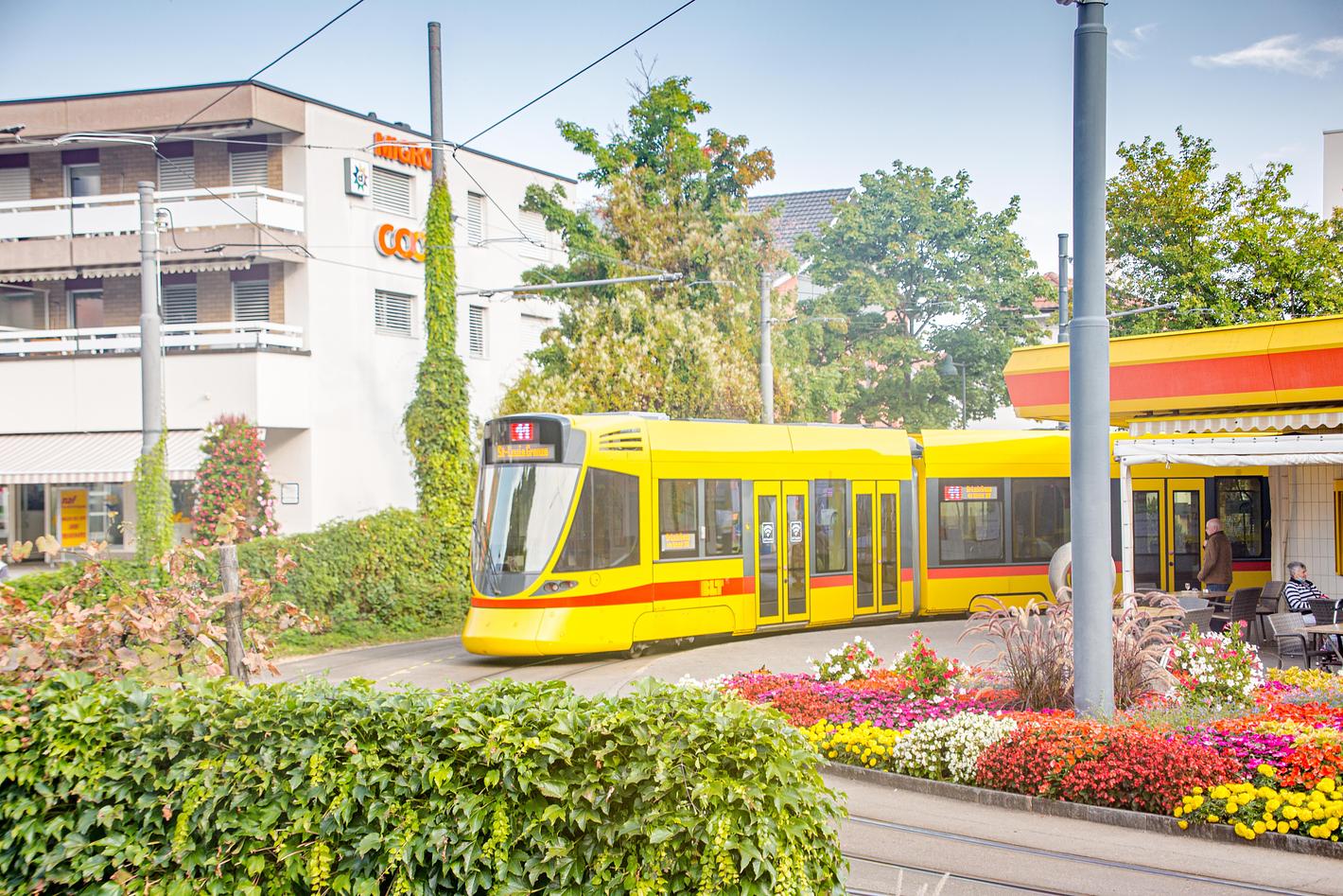 Bild im Zusammenhang mit dem Beitrag