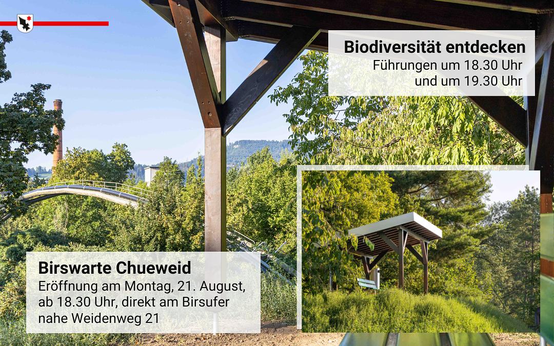Bild im Zusammenhang mit dem Beitrag