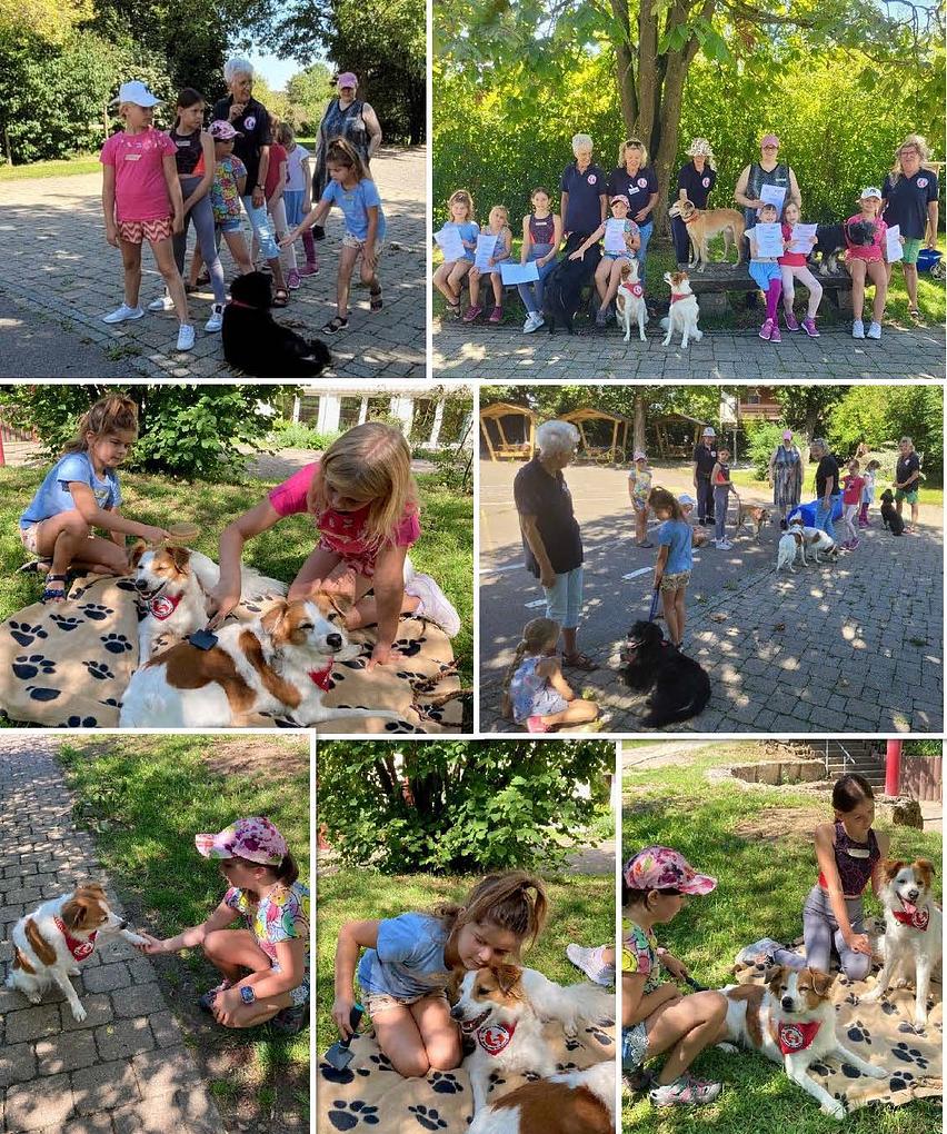 Collage image 1