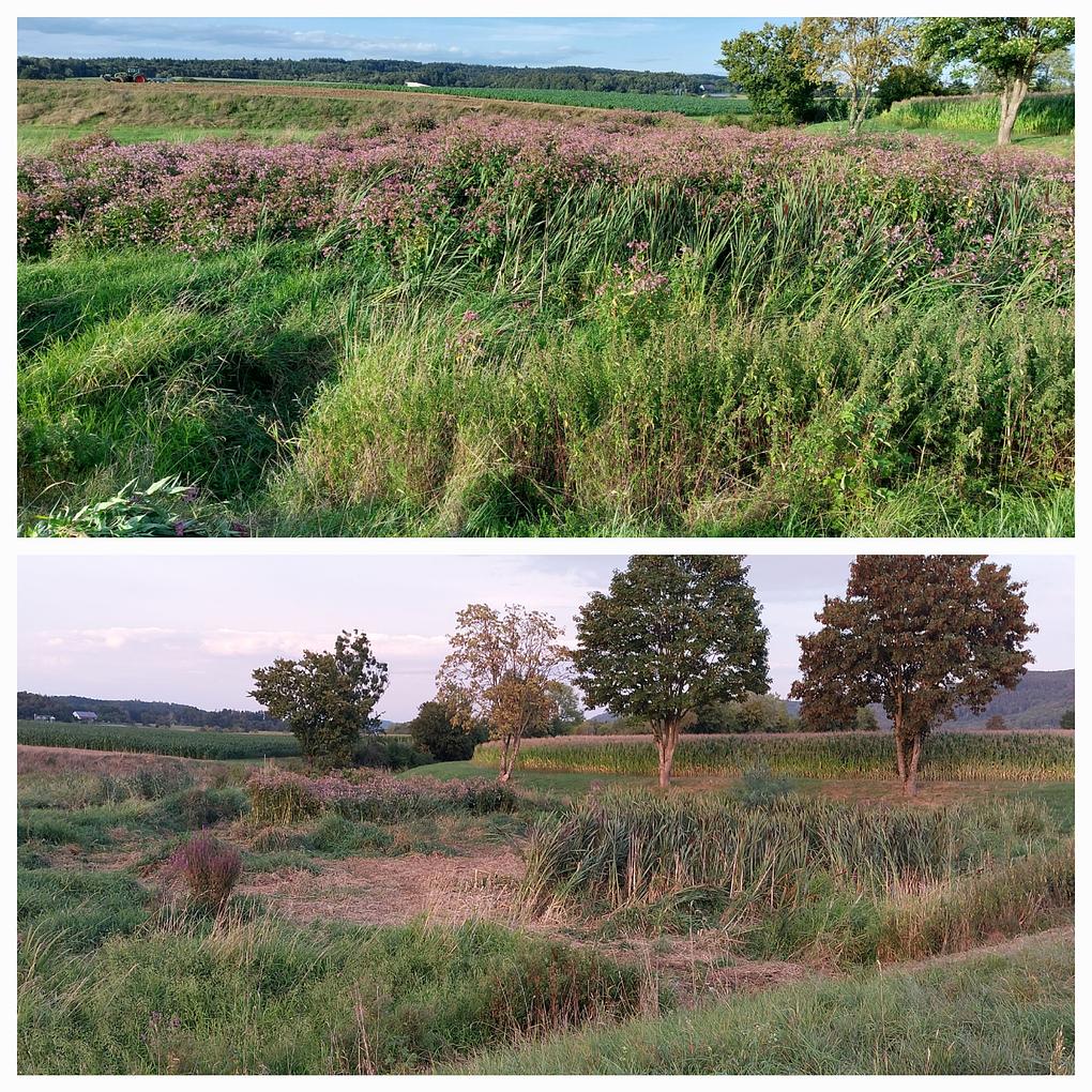 Collagebild 1