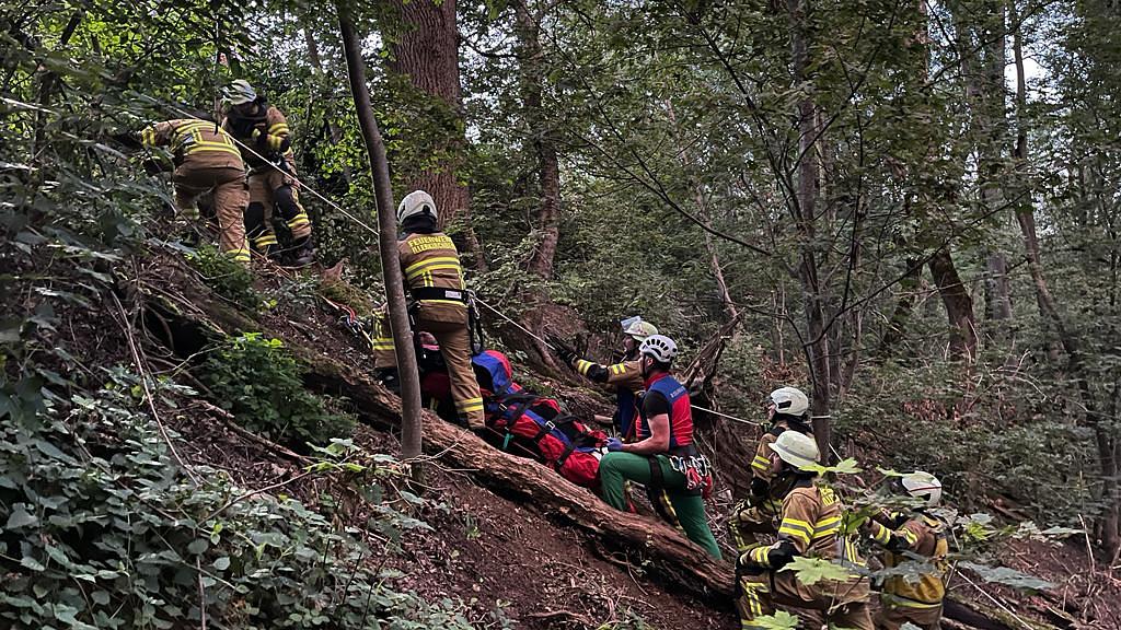 Bild im Zusammenhang mit dem Beitrag