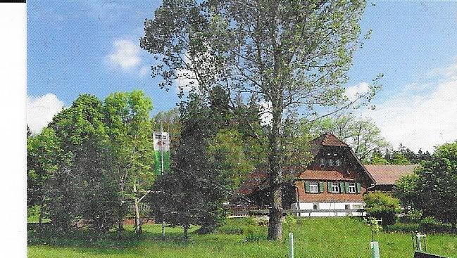 Bild im Zusammenhang mit dem Beitrag