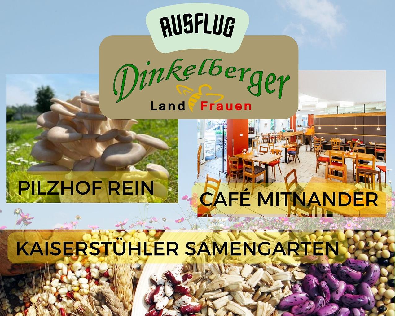 Collagebild 1