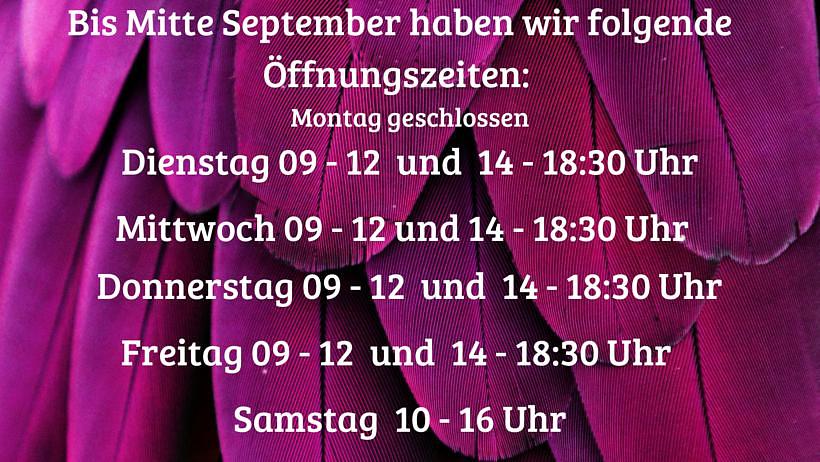 Bild im Zusammenhang mit dem Beitrag