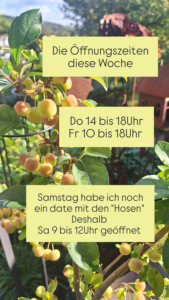 Collagebild 2