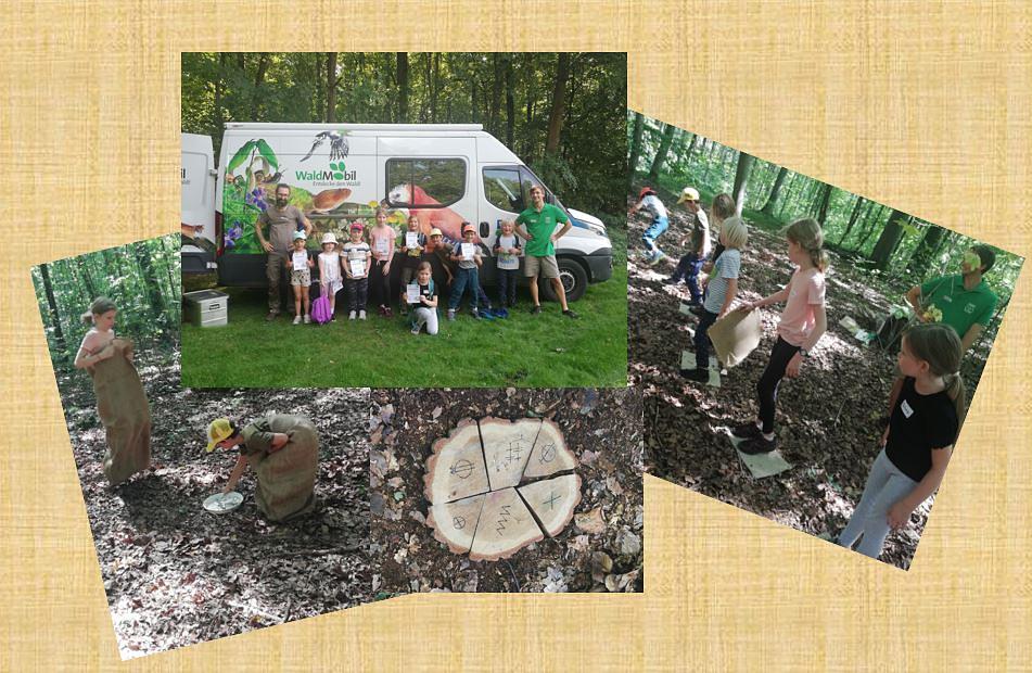 Collagebild 1