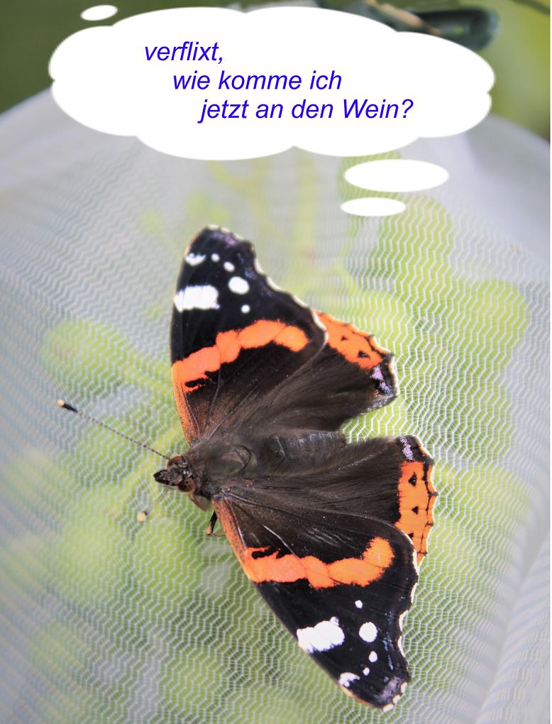 Bild im Zusammenhang mit dem Beitrag