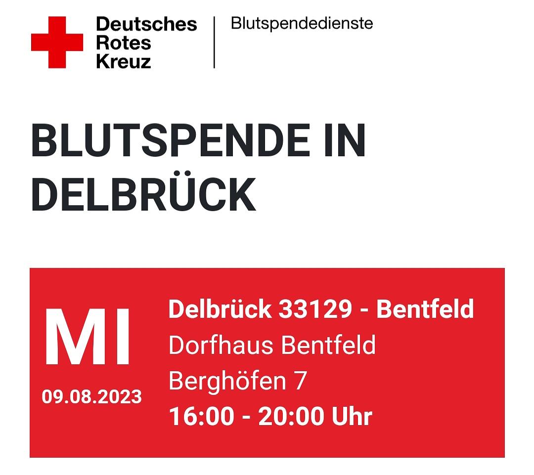 Bild im Zusammenhang mit dem Beitrag