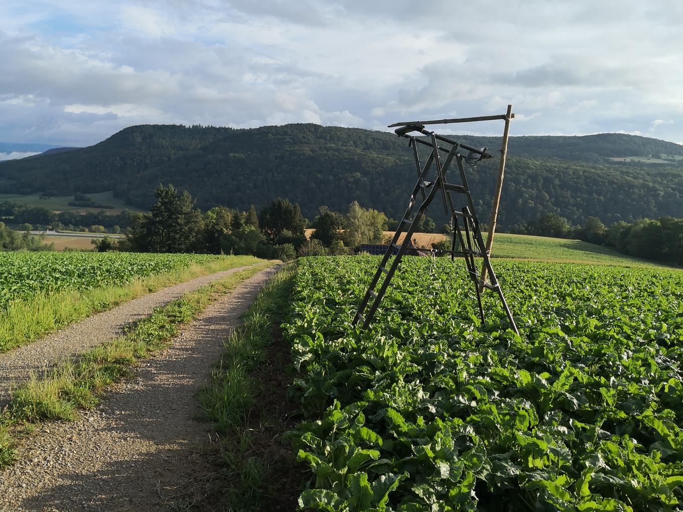 Image en lien avec la publication