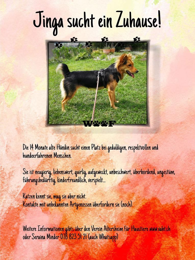 Collagebild 1
