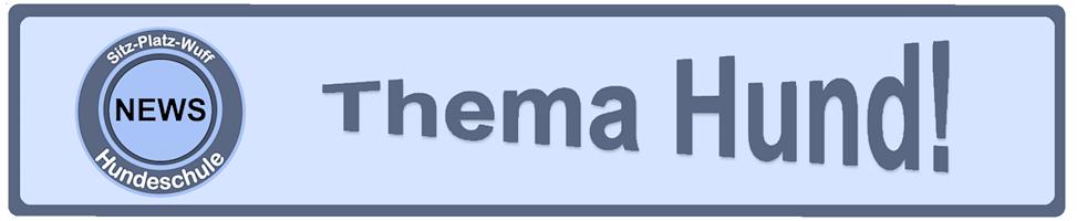Image en lien avec la publication