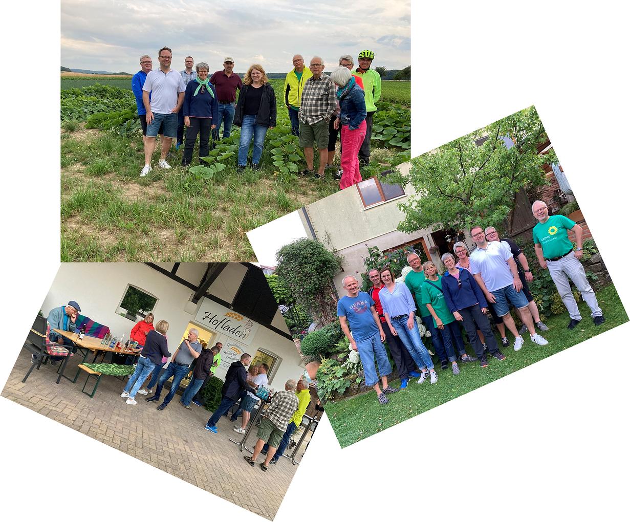 Collagebild 1