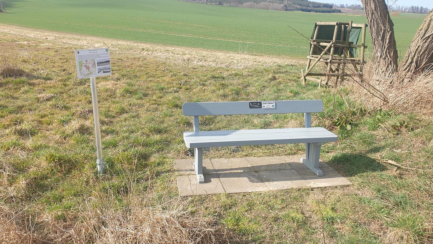 Bild im Zusammenhang mit dem Beitrag