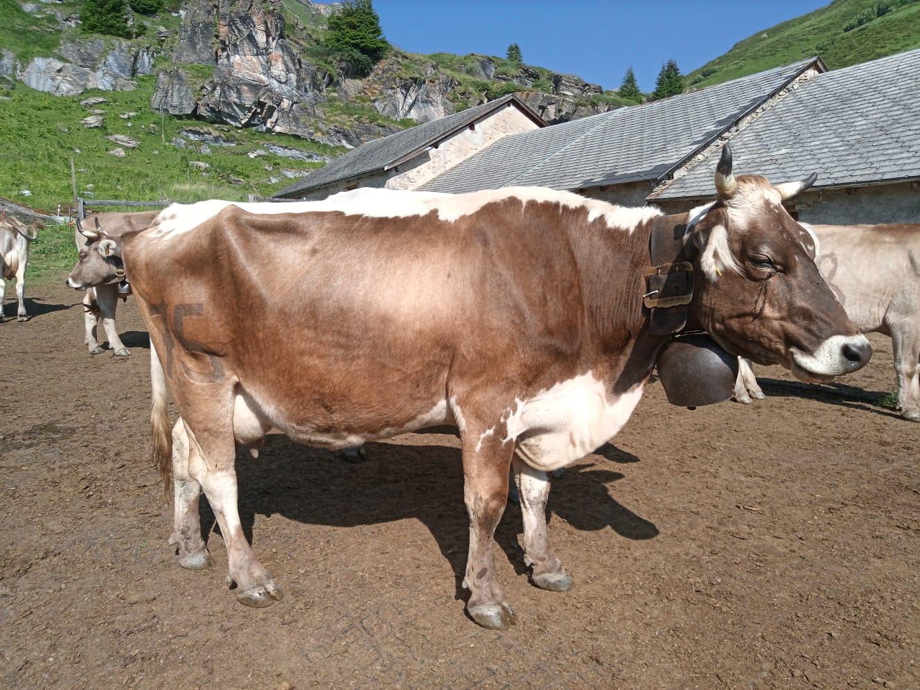 Bild im Zusammenhang mit dem Beitrag