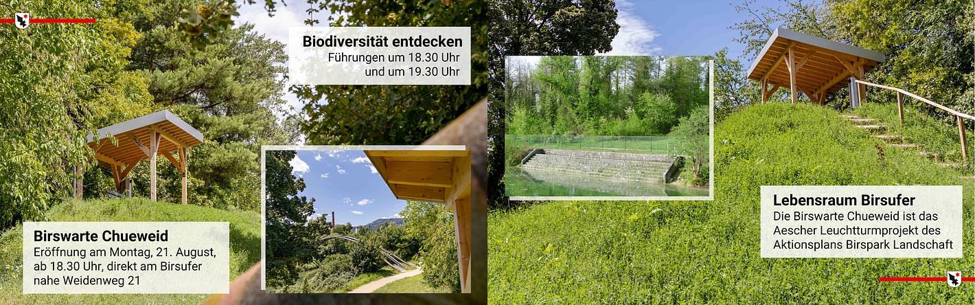Collagebild 1