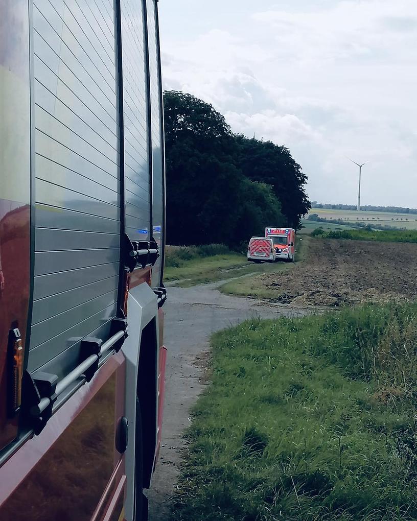 Bild im Zusammenhang mit dem Beitrag