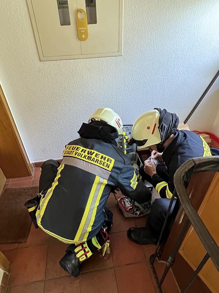 Bild im Zusammenhang mit dem Beitrag