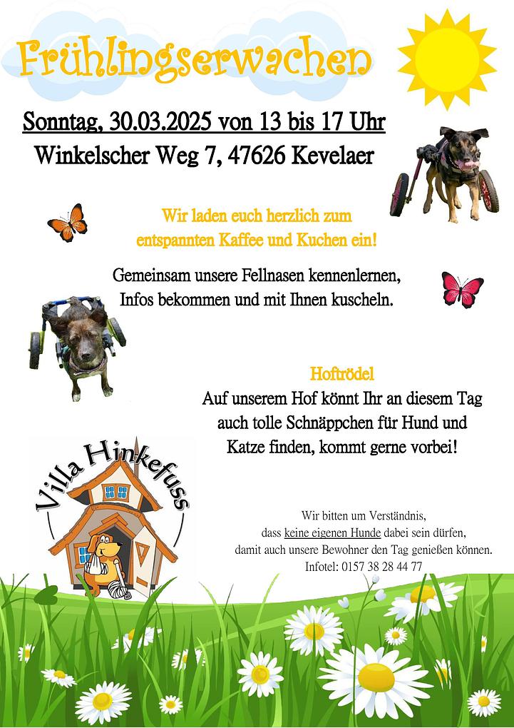 Bild im Zusammenhang mit dem Beitrag