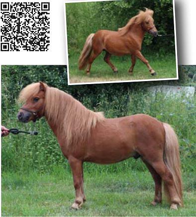 Bild im Zusammenhang mit dem Beitrag