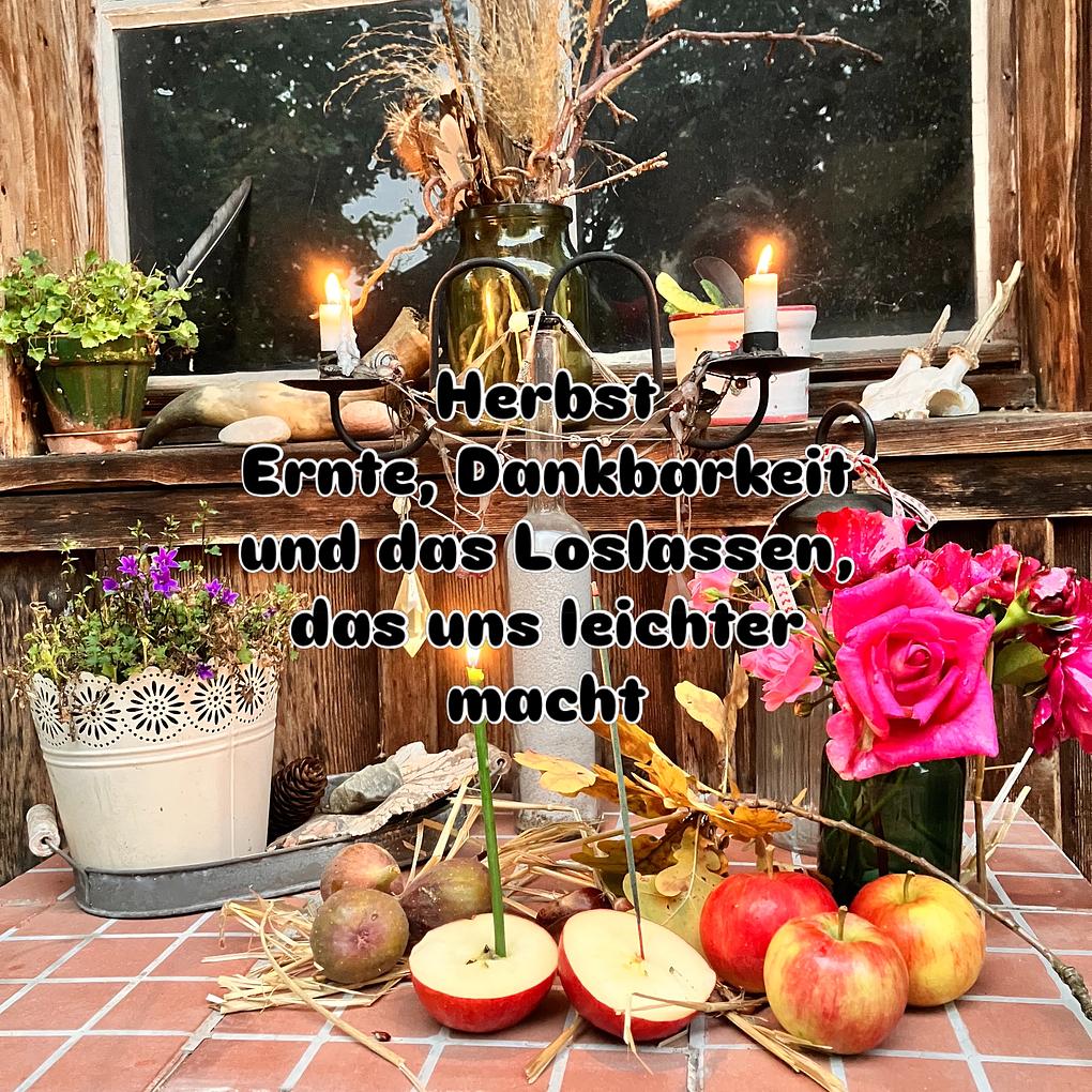 Collagebild 2