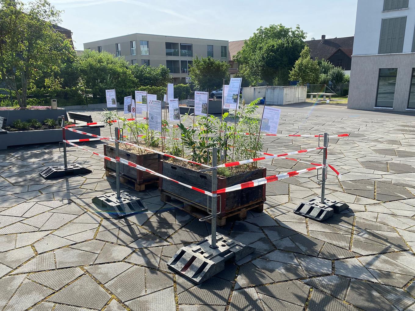 Bild im Zusammenhang mit dem Beitrag
