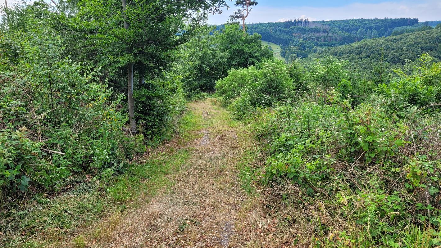 Bild im Zusammenhang mit dem Beitrag