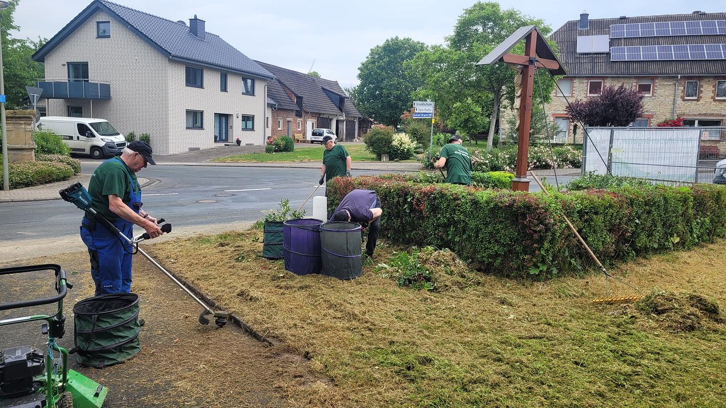 Bild im Zusammenhang mit dem Beitrag
