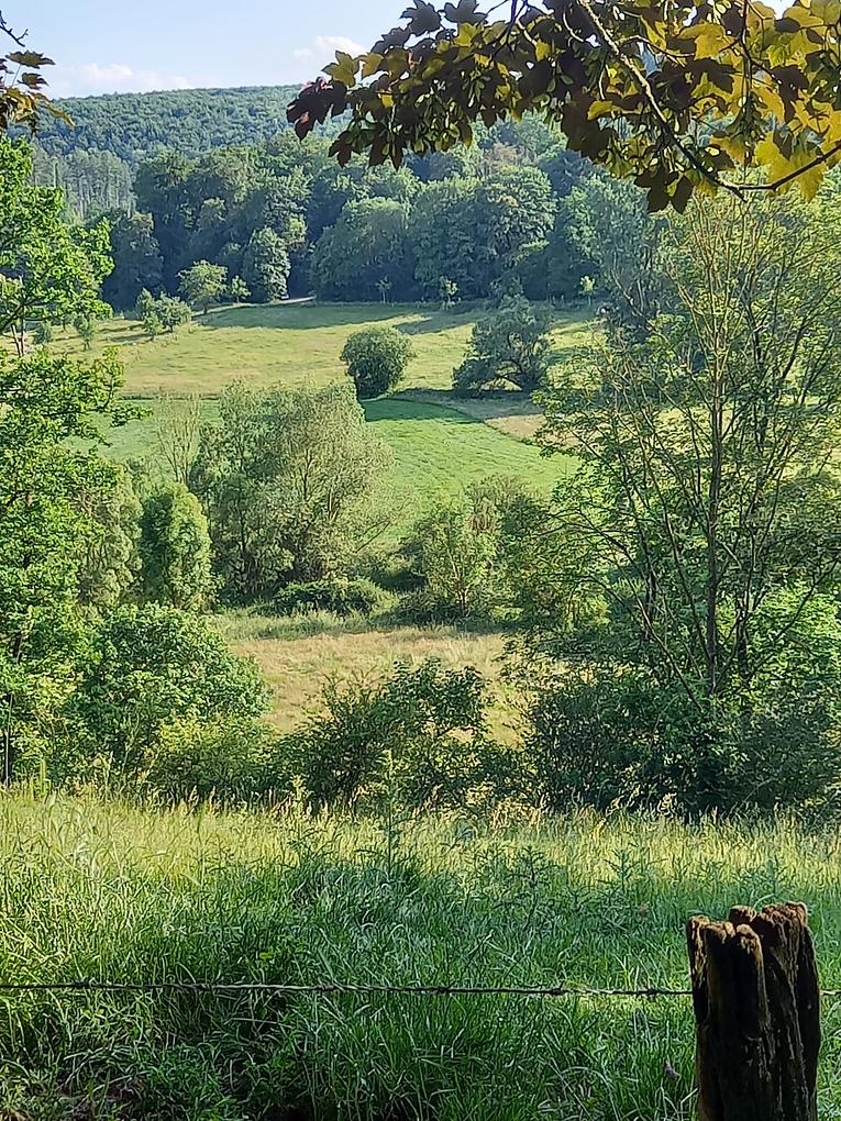 Bild im Zusammenhang mit dem Beitrag