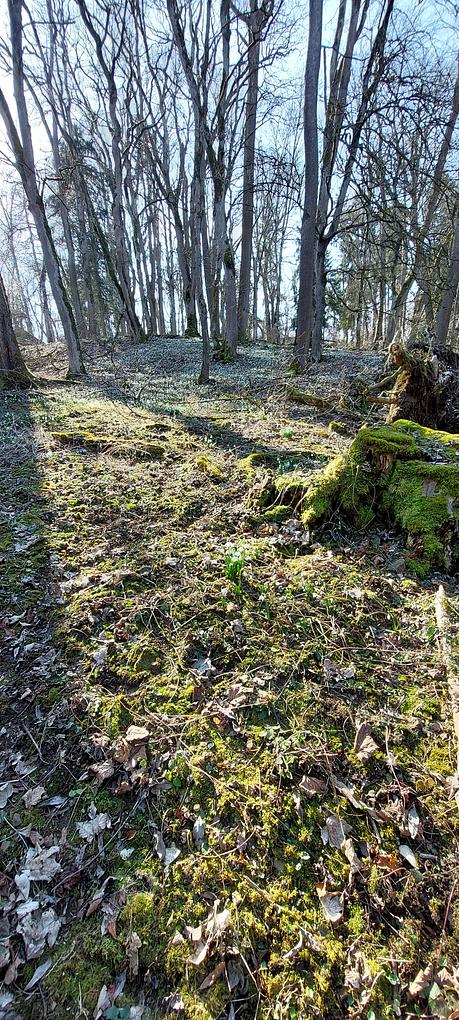 Bild im Zusammenhang mit dem Beitrag