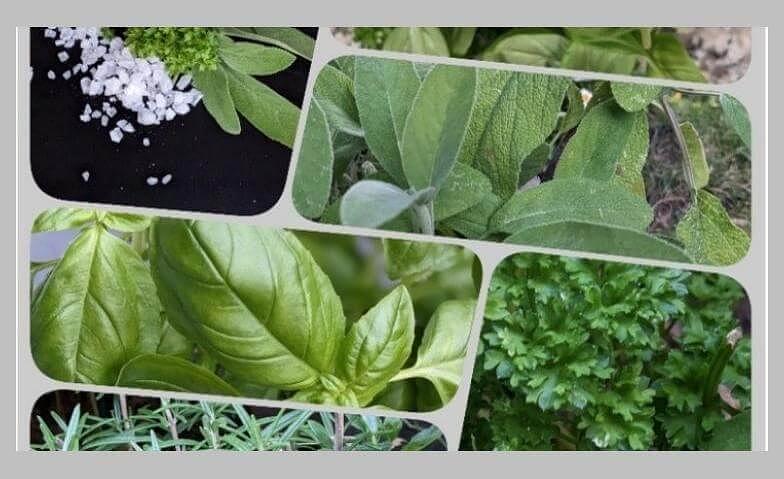 Collage image 1