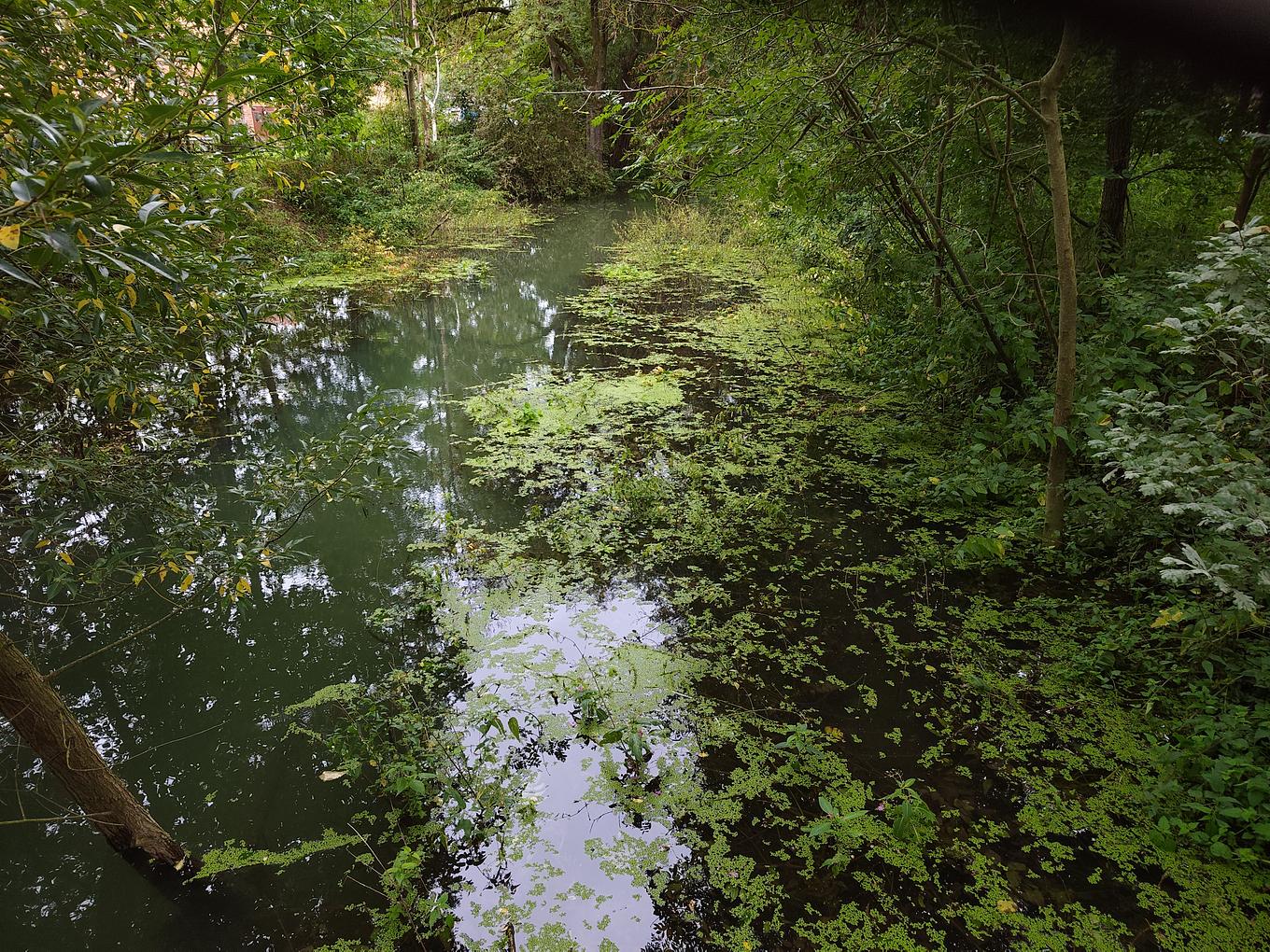 Collagebild 6