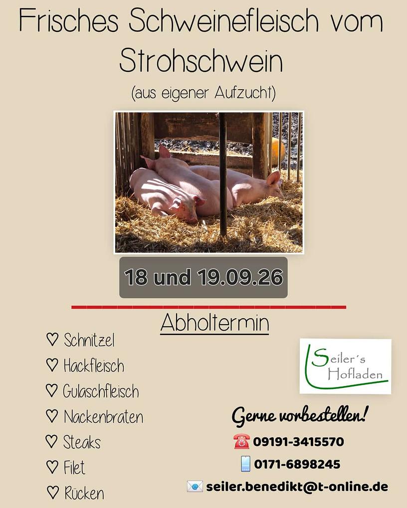 Collagebild 2