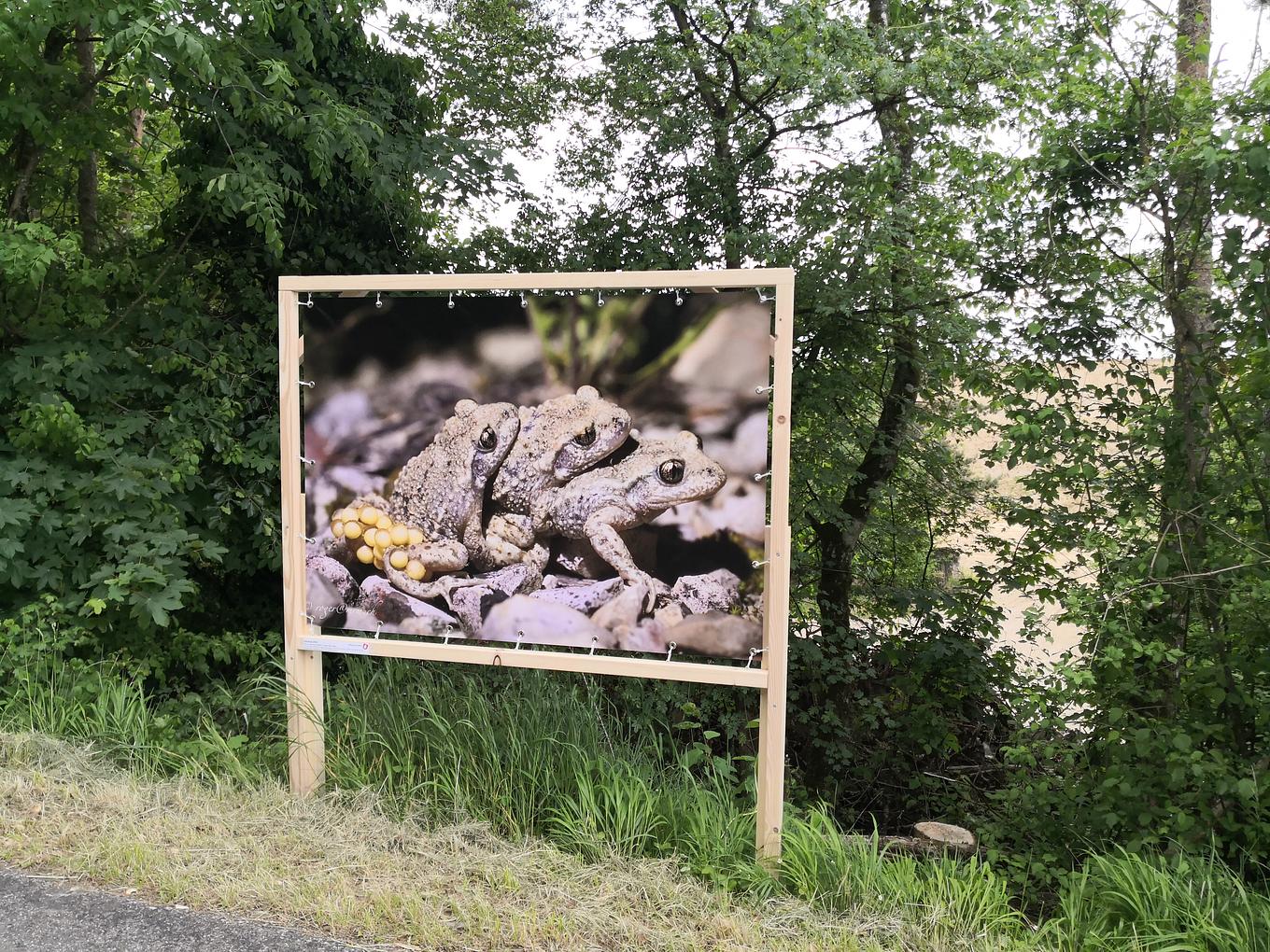 Collagebild 1