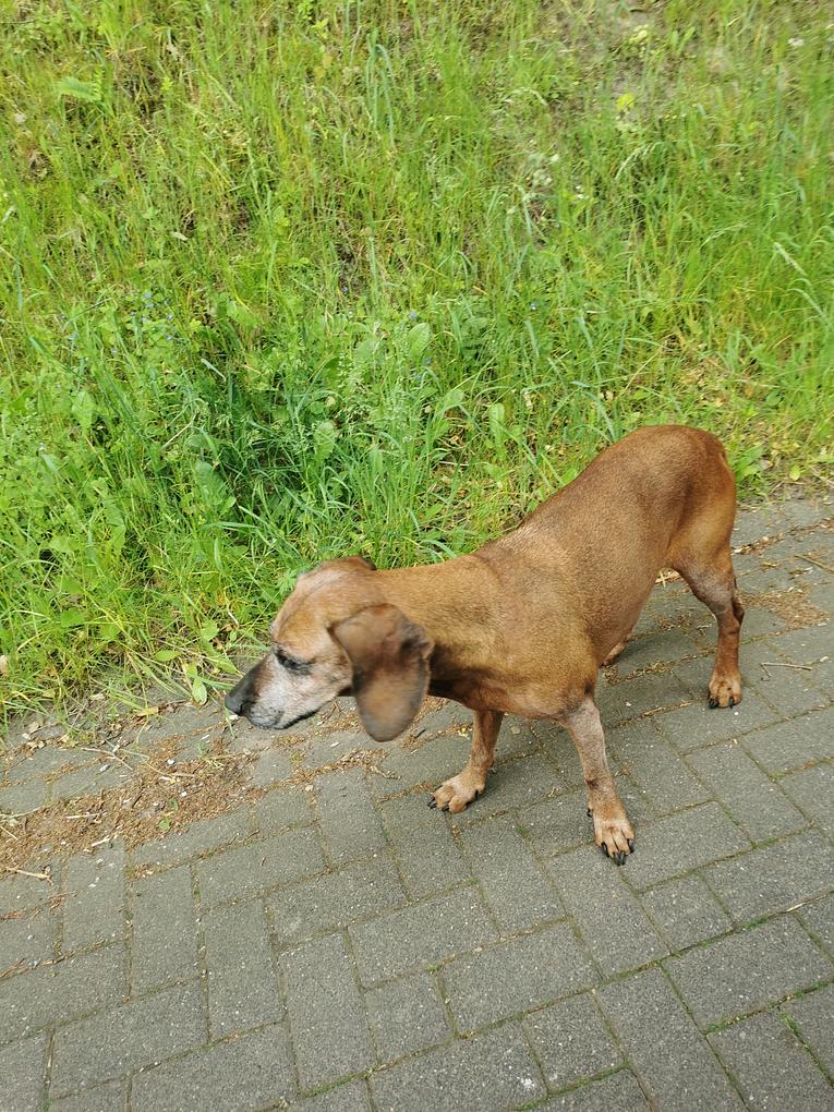 Bild im Zusammenhang mit dem Beitrag