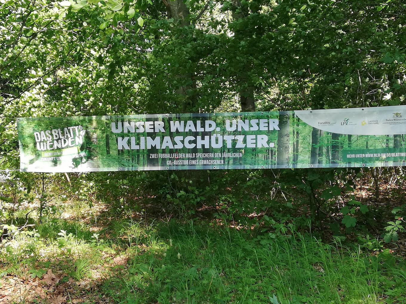 Bild im Zusammenhang mit dem Beitrag