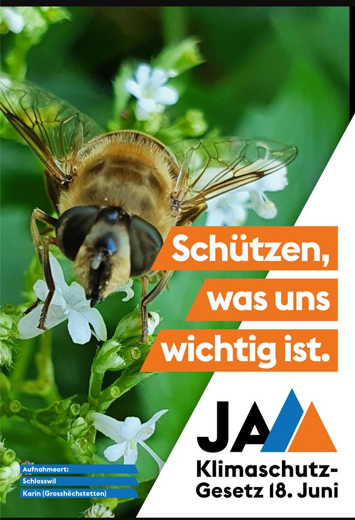 Image related to the post