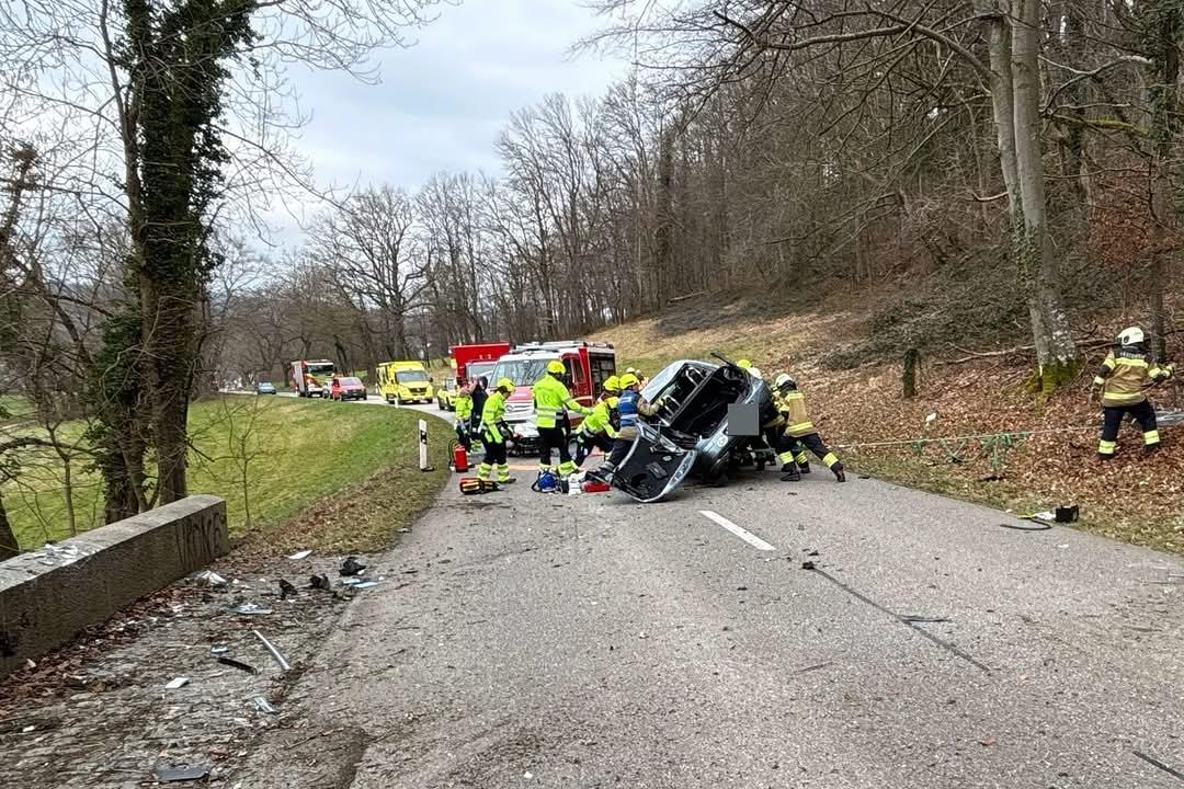 Bild im Zusammenhang mit dem Beitrag