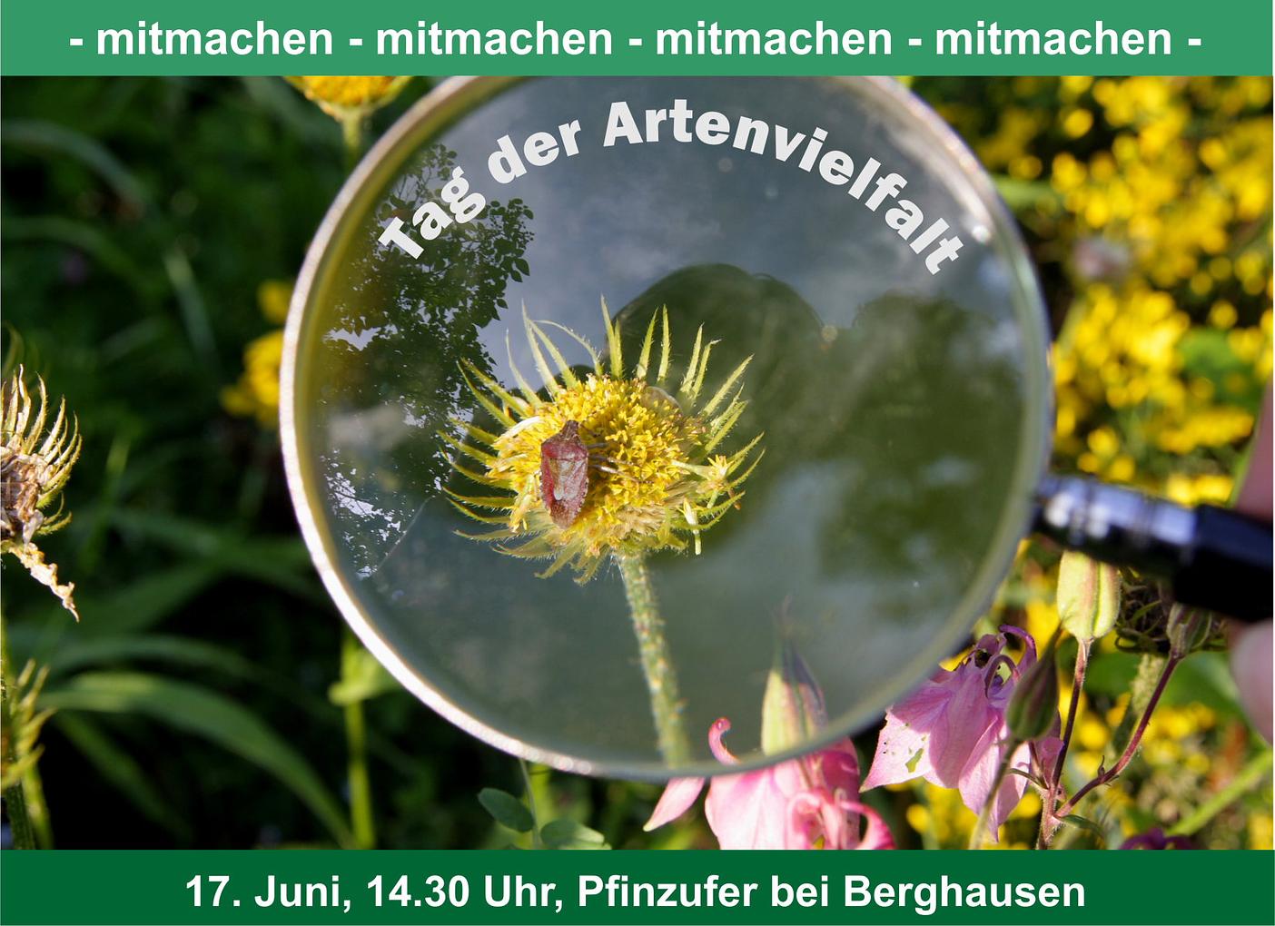 Collagebild 1
