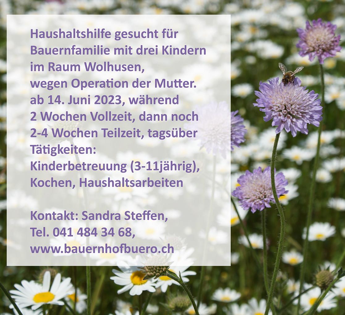 Collagebild 1
